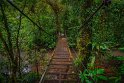 125 Rio Celeste